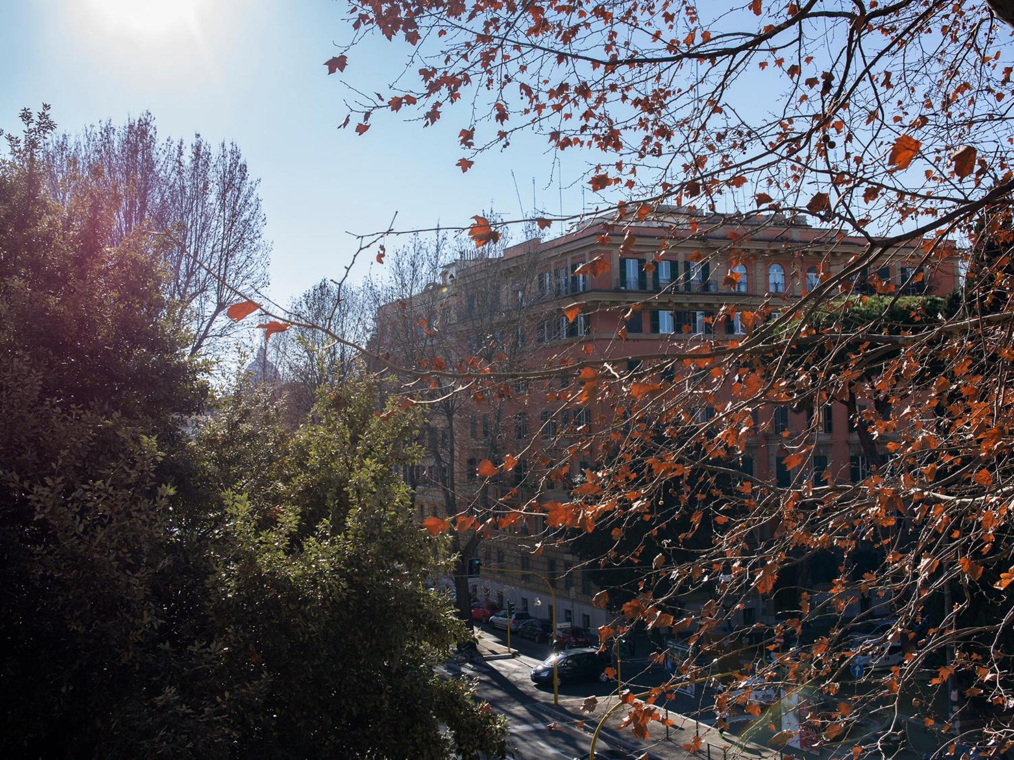 The Apartments - Vatican Roma Eksteriør bilde